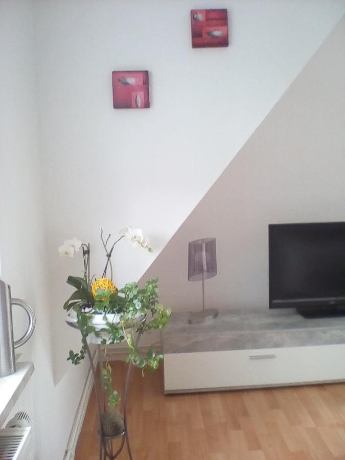 Ferienwohnung Am Geiersberg Walkenried Zewnętrze zdjęcie