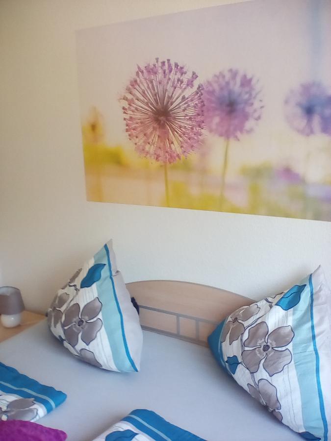 Ferienwohnung Am Geiersberg Walkenried Zewnętrze zdjęcie