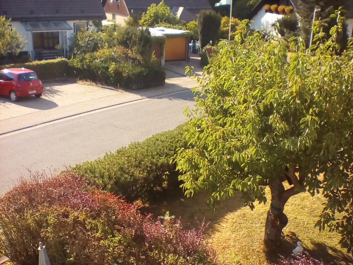 Ferienwohnung Am Geiersberg Walkenried Zewnętrze zdjęcie