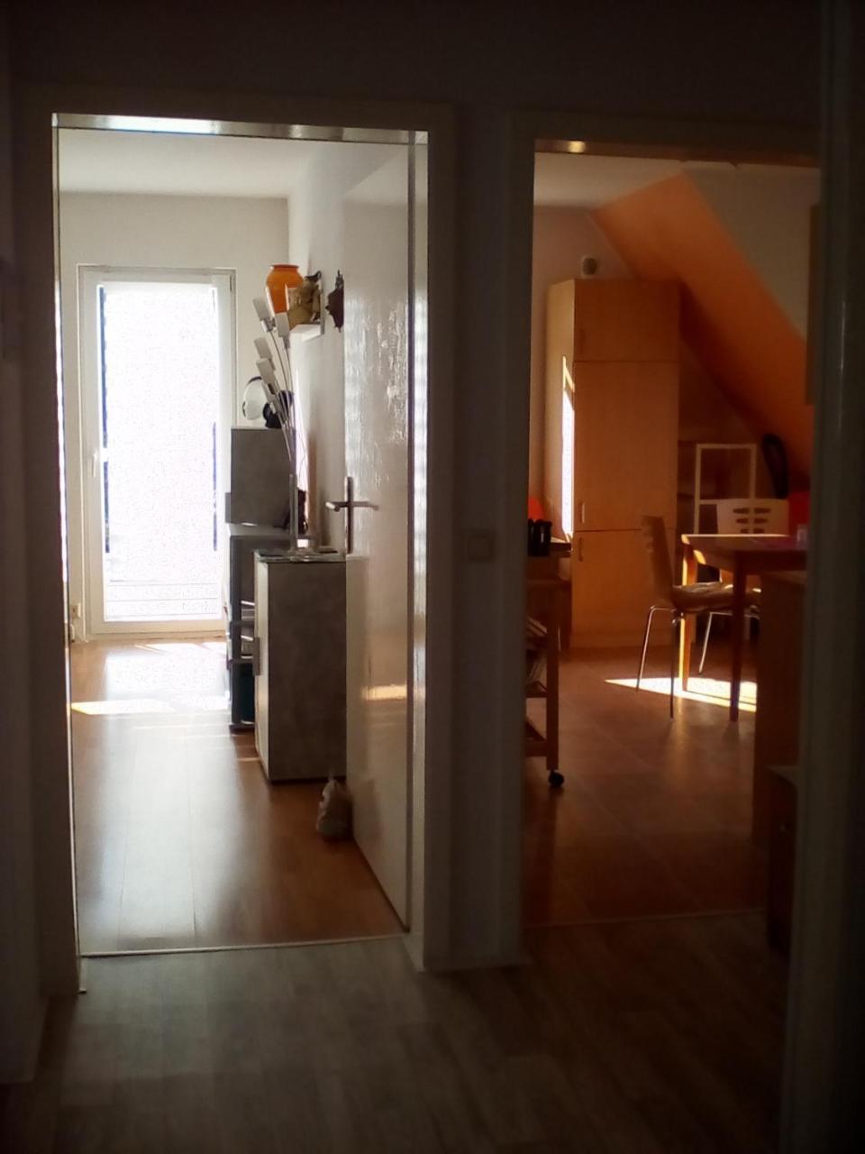 Ferienwohnung Am Geiersberg Walkenried Zewnętrze zdjęcie